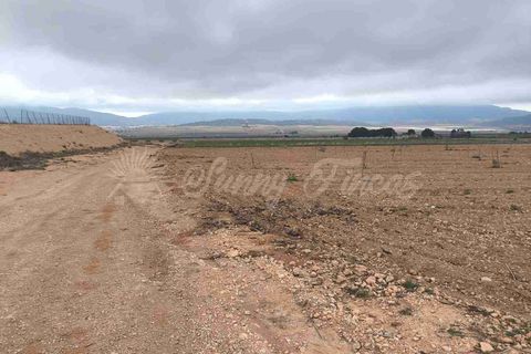 Helårsgrund i Yecla, Murcia, Yecla - € 47.000 | Ref: SF0566 - foto 5